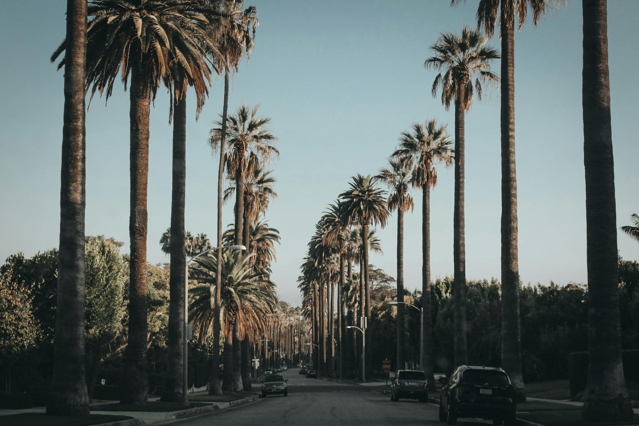 black-vehicle-beside-palm-tres Crafting the Perfect Blog Structure: A Guide for Effective Blogging